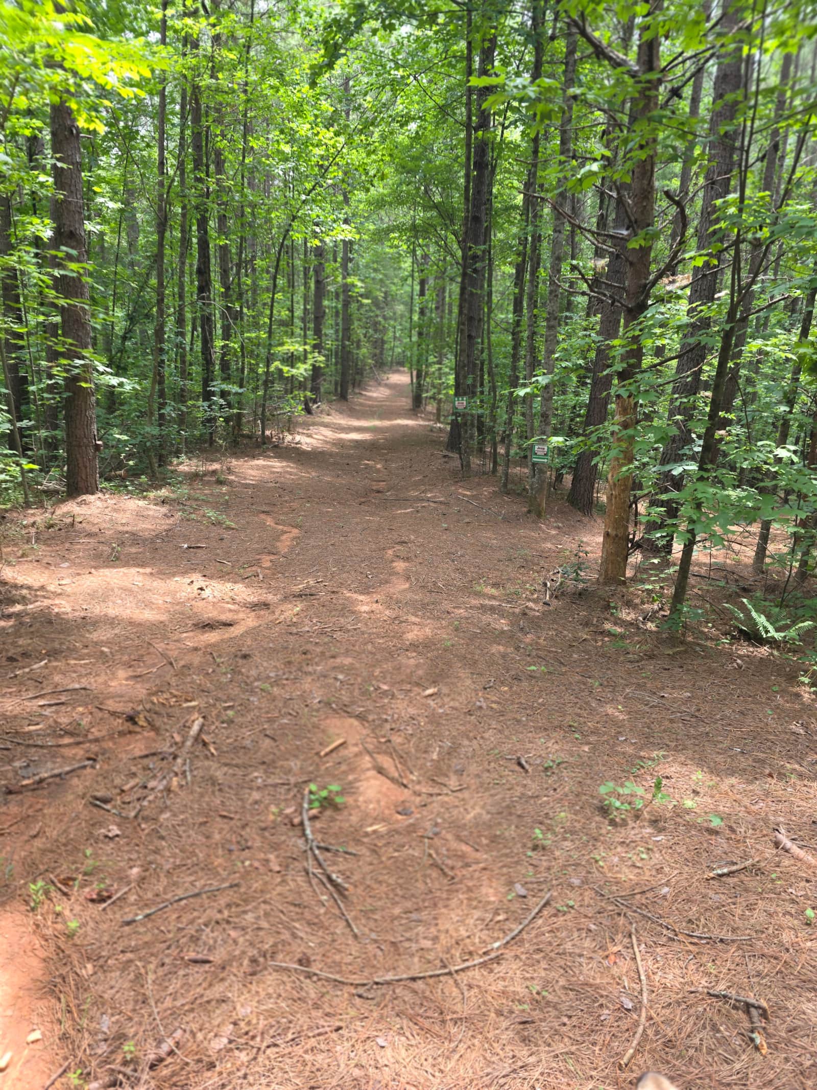 Wooded hiking trail on the Sanctuary property